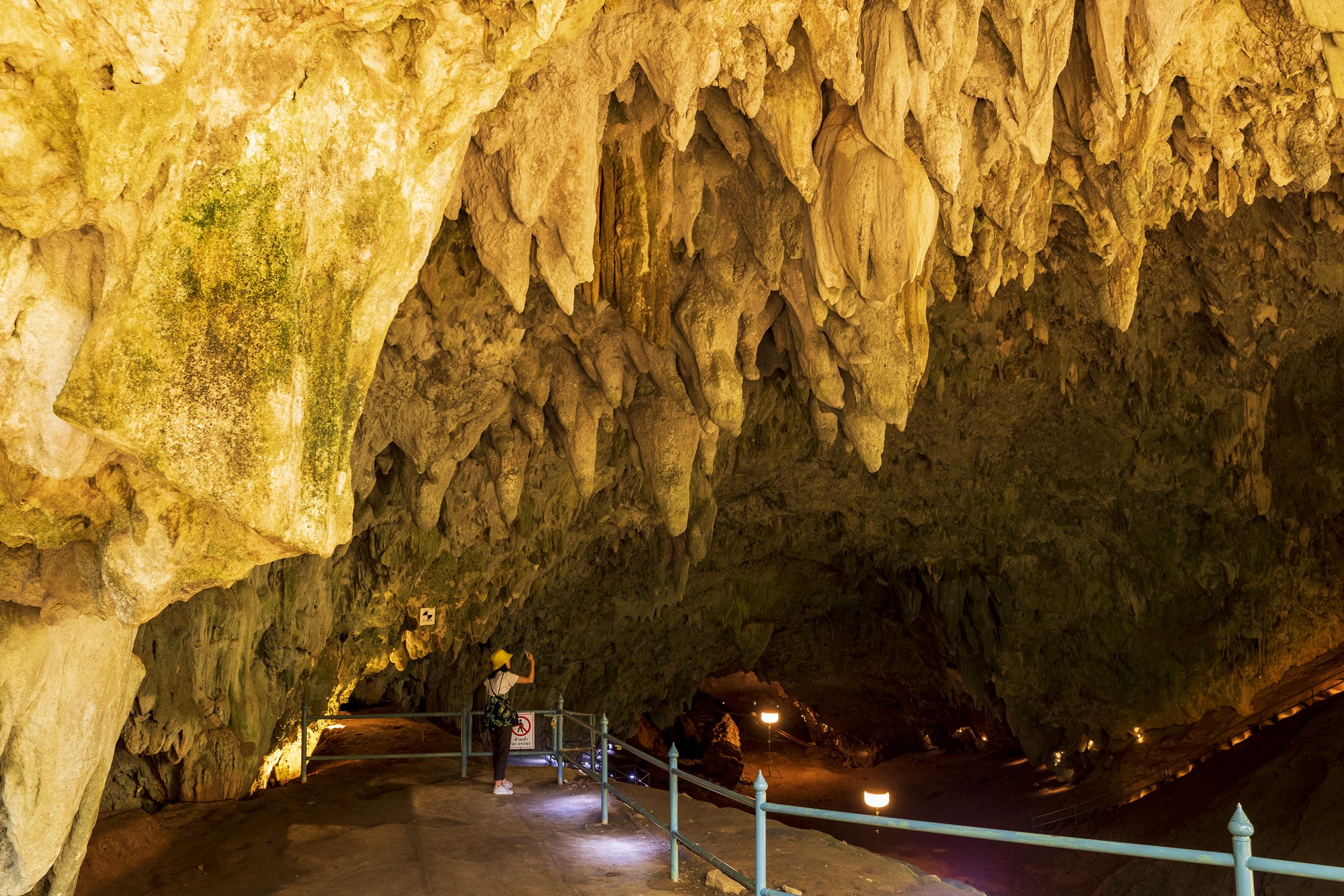 ผจญภัยในถ้ำหลวง: สัมผัสเสน่ห์แม่สาย ดินแดนแห่งวีรบุรุษและธรรมชาติ