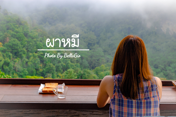 ผาหมี: สวรรค์บนดอยสูง แม่สาย ที่คุณต้องไปสัมผัส